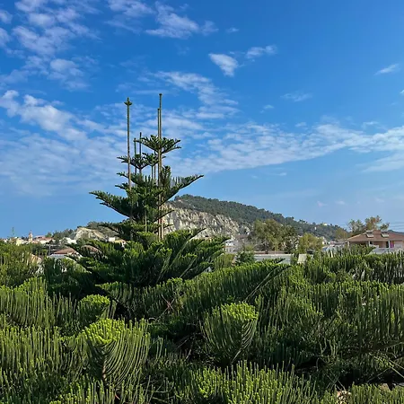 페타스 아파트먼트 * 자킨토스 타운