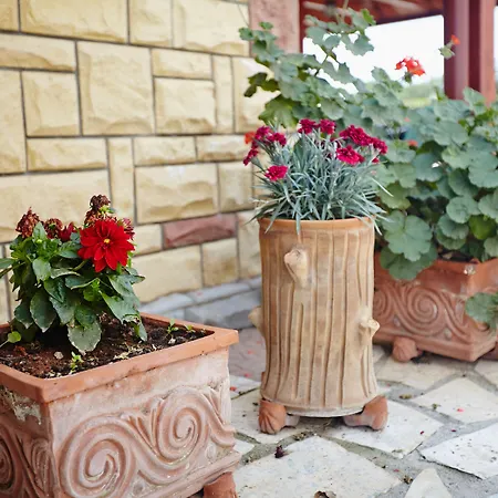 페타스 아파트먼트 아파트 *