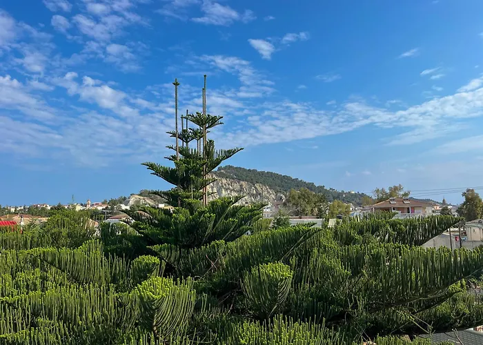 Pettas * Zakynthos