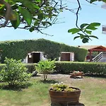 Pettas